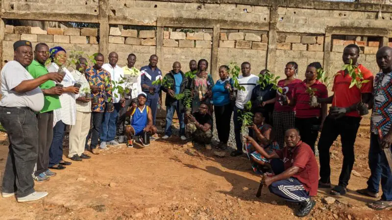 L’Association FAURE-TOGO participe à la journée de l’arbre : Un Engagement pour un Togo Plus Vert