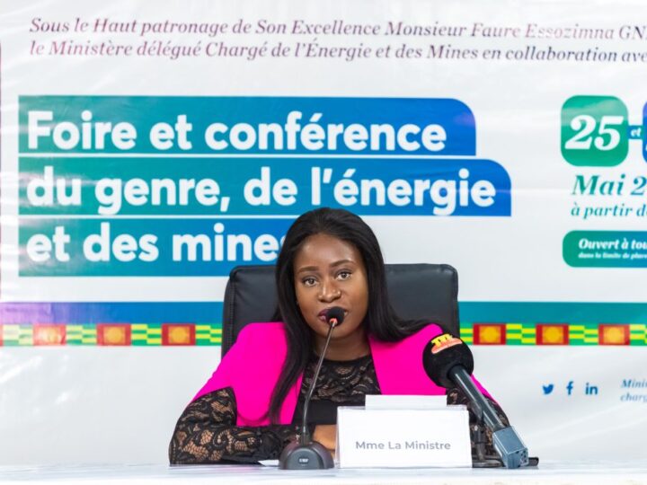 Foire et Conférence du Genre, de l’Energie et des Mines, une première au Togo.